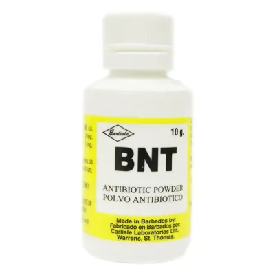Bnt Powder 15g