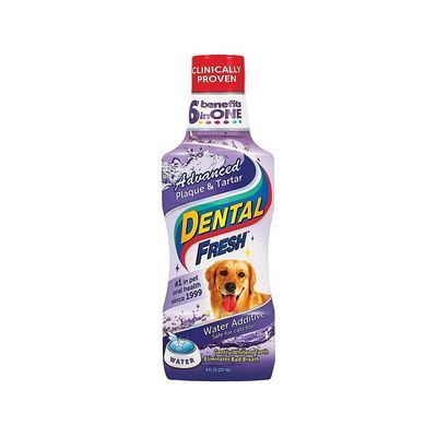 Dental Fresh Advanced Plaque & Tartar 8oz