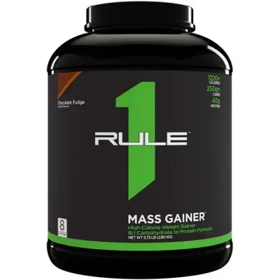 Mass Gainer Chocolate Fudge