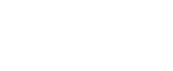 Lark Cake Shop