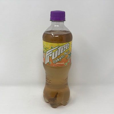Schweppes Ginger Ale 500ml