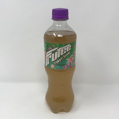 Schweppes Ginger Beer 500ml