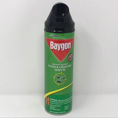 Baygon Insect Spray 600ml