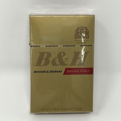 Benson & Hedges Special Filter 20s