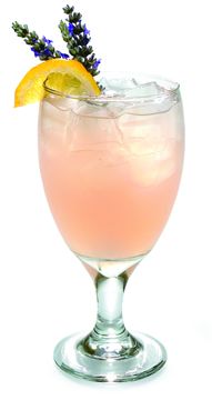 Lavender Lemonade 16oz