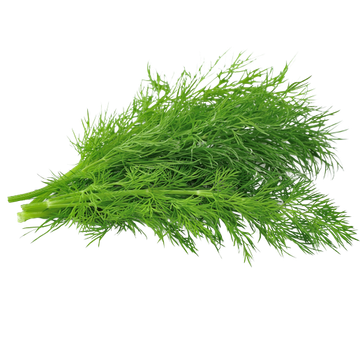 Anise (fennel)