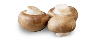 Baby Bella Mushrooms