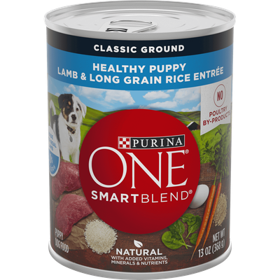 Purina ONE Natural Pate Wet Puppy Food, SmartBlend Healthy Puppy Lamb & Long Grain Rice Entree