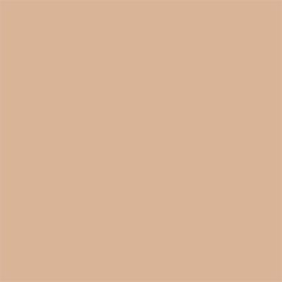 Oil Blocking Pressed Powder Invisible 10