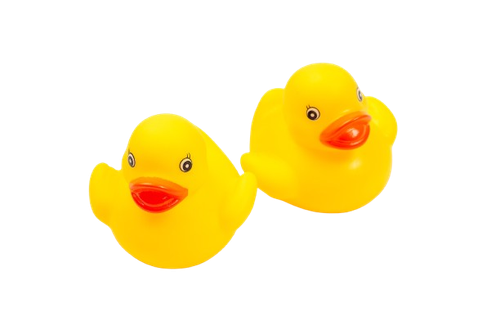 Tub Toys Ducks Asst
