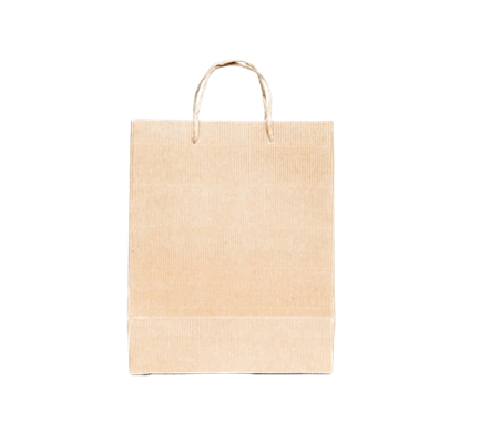 Paper Bag  Small