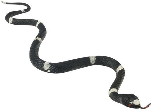 Kid Fun Ultra Stretchy Snake