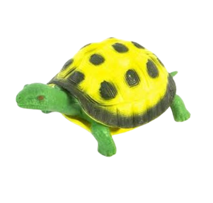 Stretchy Turtle