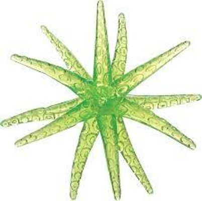 Sticky Starfish