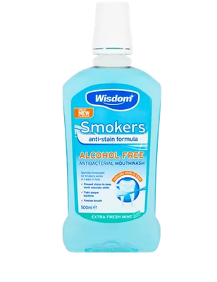Wisdom  Smokers Anti Stain  500ml