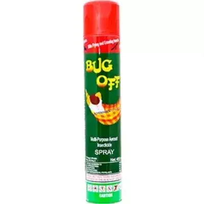 Bug Off Insecticide Spray 450ml