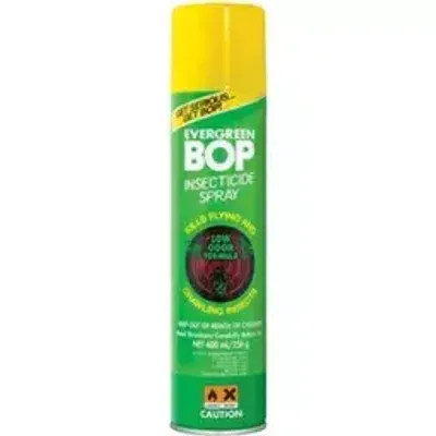 Bop Evergreen 400ml