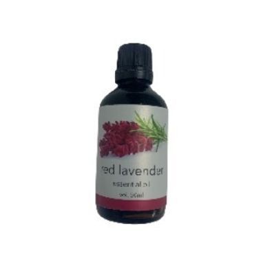 Economy Red Lavender 50ml