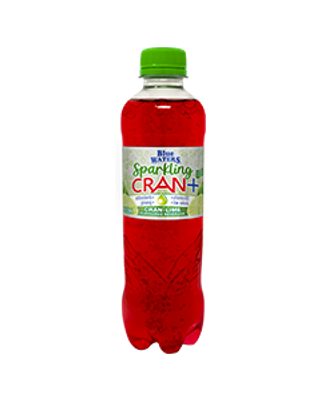 Blue Waters Sparkling Cran Lime 330ml