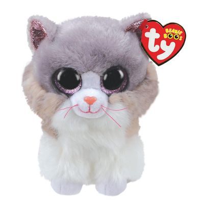 TY Asher Cat