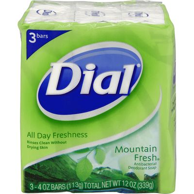Dial Bar Mountain Fresh 3/4oz